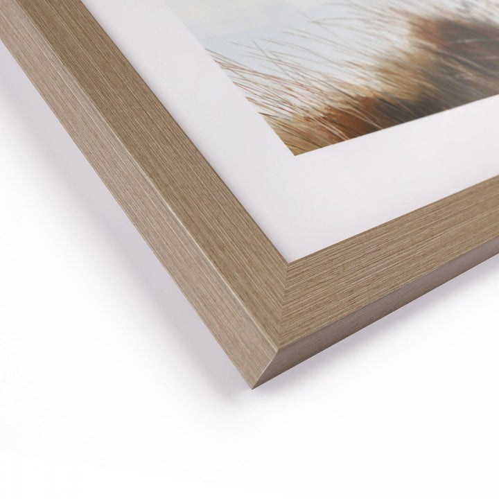 Beyond the Dunes By Sabrina Roscino *PRE-ORDER DELIVERY LATE OCTOBER* - TheArtistsQuarter