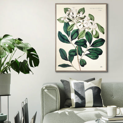 Foliage and Blooms & Flourishing Foliage By Art Vintages - TheArtistsQuarter