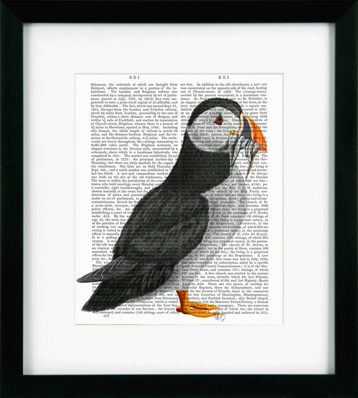 Puffin Portraits IV By Fab Funky *NEW* - TheArtistsQuarter