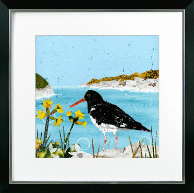 At the Coast VI – Oyster Catcher By Adam James Severn *NEW* - TheArtistsQuarter