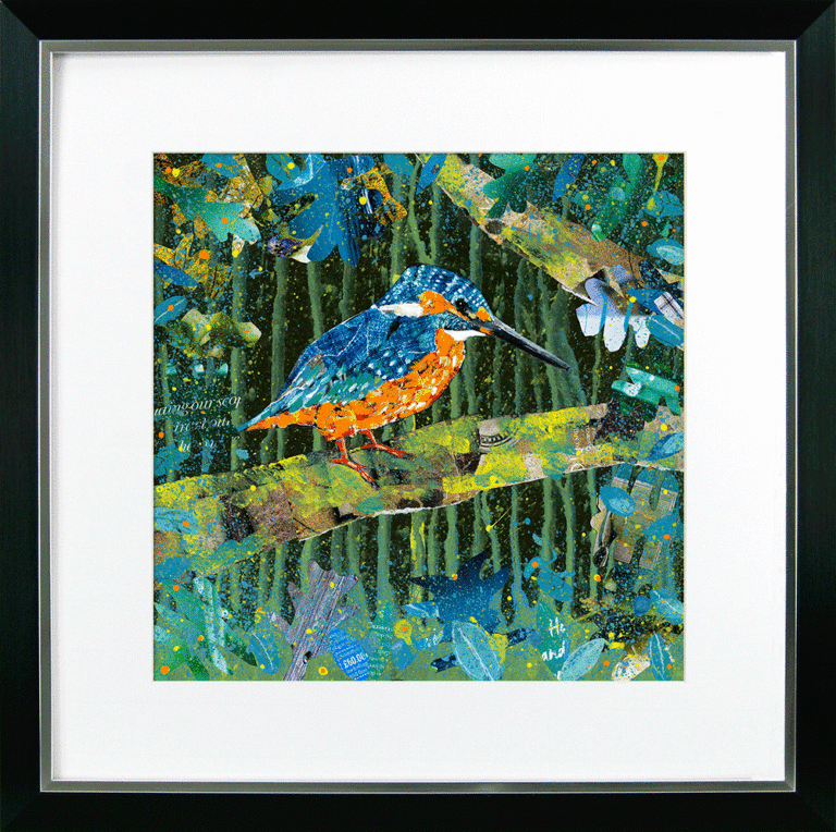 Bright & Beautiful Birds IV – Kingfisher By Adam James Severn *NEW* - TheArtistsQuarter