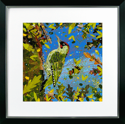 Bright & Beautiful Birds V – Woodpecker By Adam James Severn *NEW* - TheArtistsQuarter