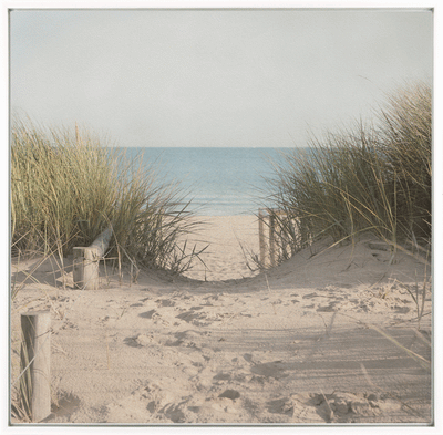 Beach Grasses I By Danhui Nai *NEW* - TheArtistsQuarter