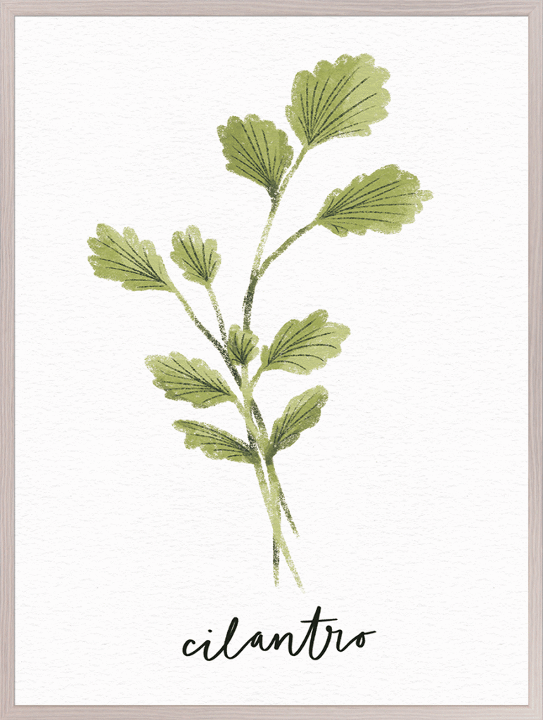 Kitchen Herbs 5 By Becky Thorns - TheArtistsQuarter