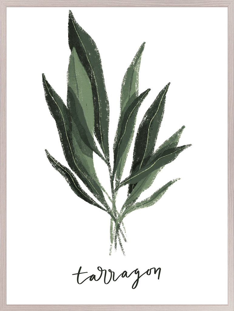 Kitchen Herbs 6 By Becky Thorns - TheArtistsQuarter