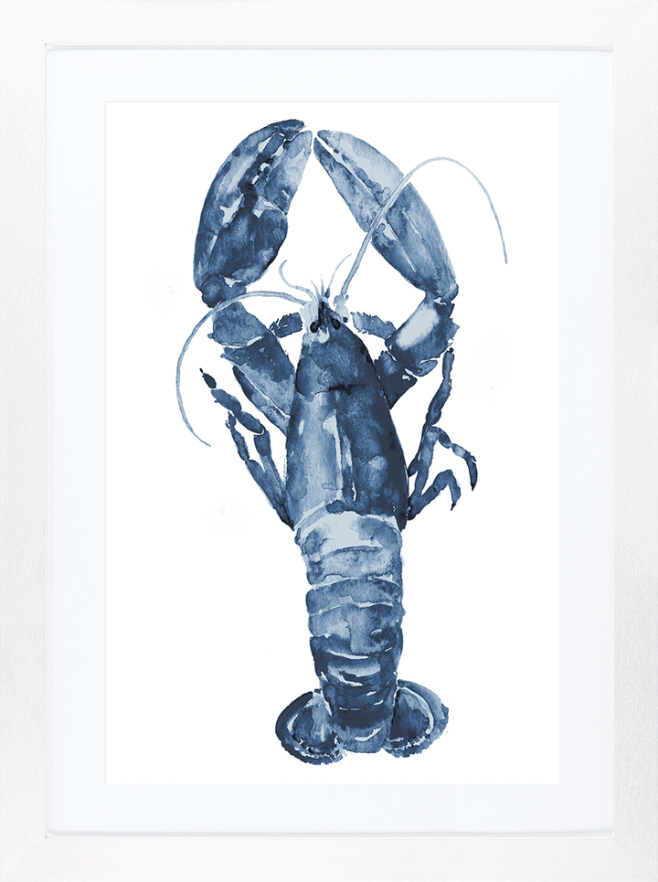 Indigo Shellfish 1 *NEW* - TheArtistsQuarter