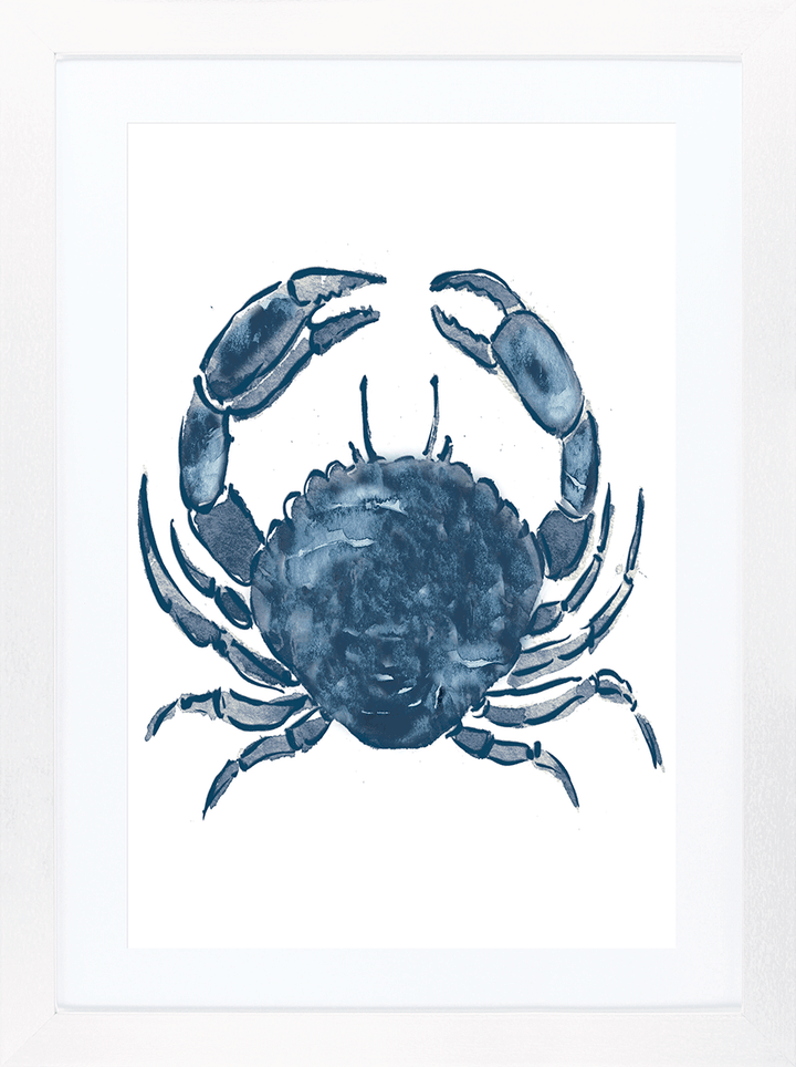 Indigo Shellfish 2 *NEW* - TheArtistsQuarter