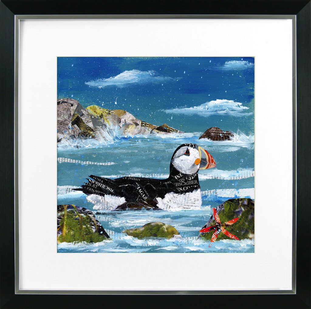 At the Coast Part 2 – Coldwater Swim