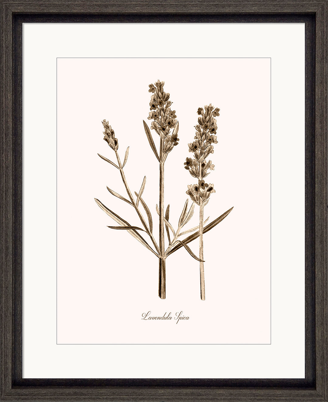 Neutral Imperial III (Plain Border) by Kelly Donovan - TheArtistsQuarter