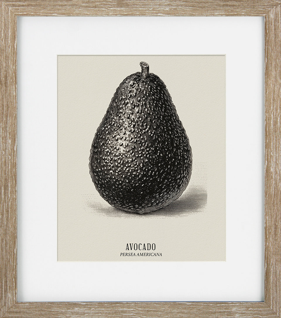 Vintage Veg Illustration IV by None - TheArtistsQuarter