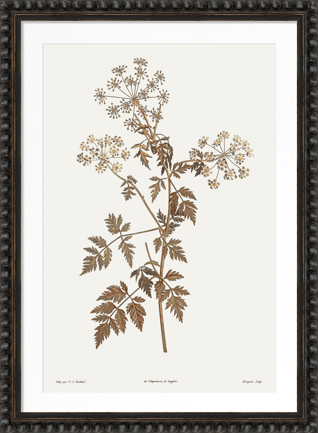 Neutral Botany III by Camelot Pictures framed neutral botanical artwork