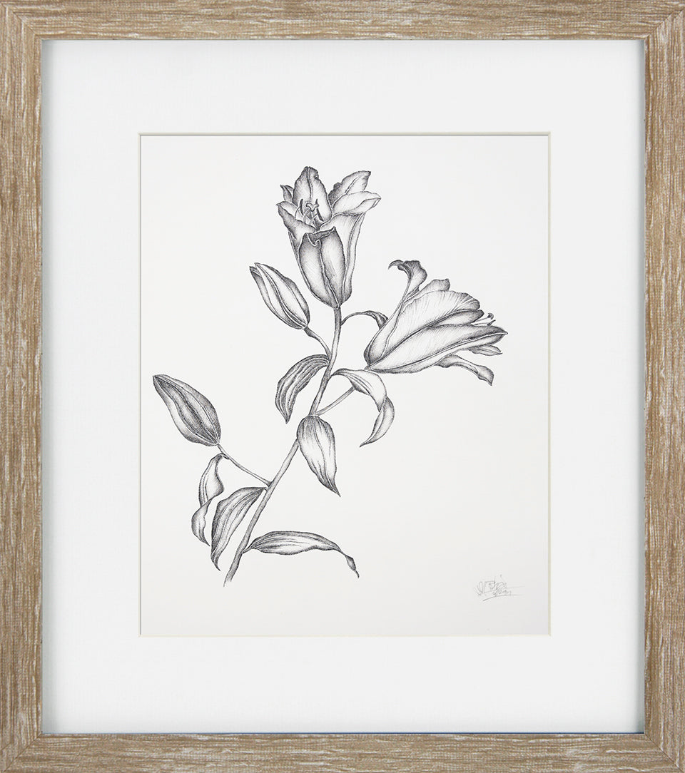 Delicate Floral Sketch I by Camelot Pictures framed floral wall art