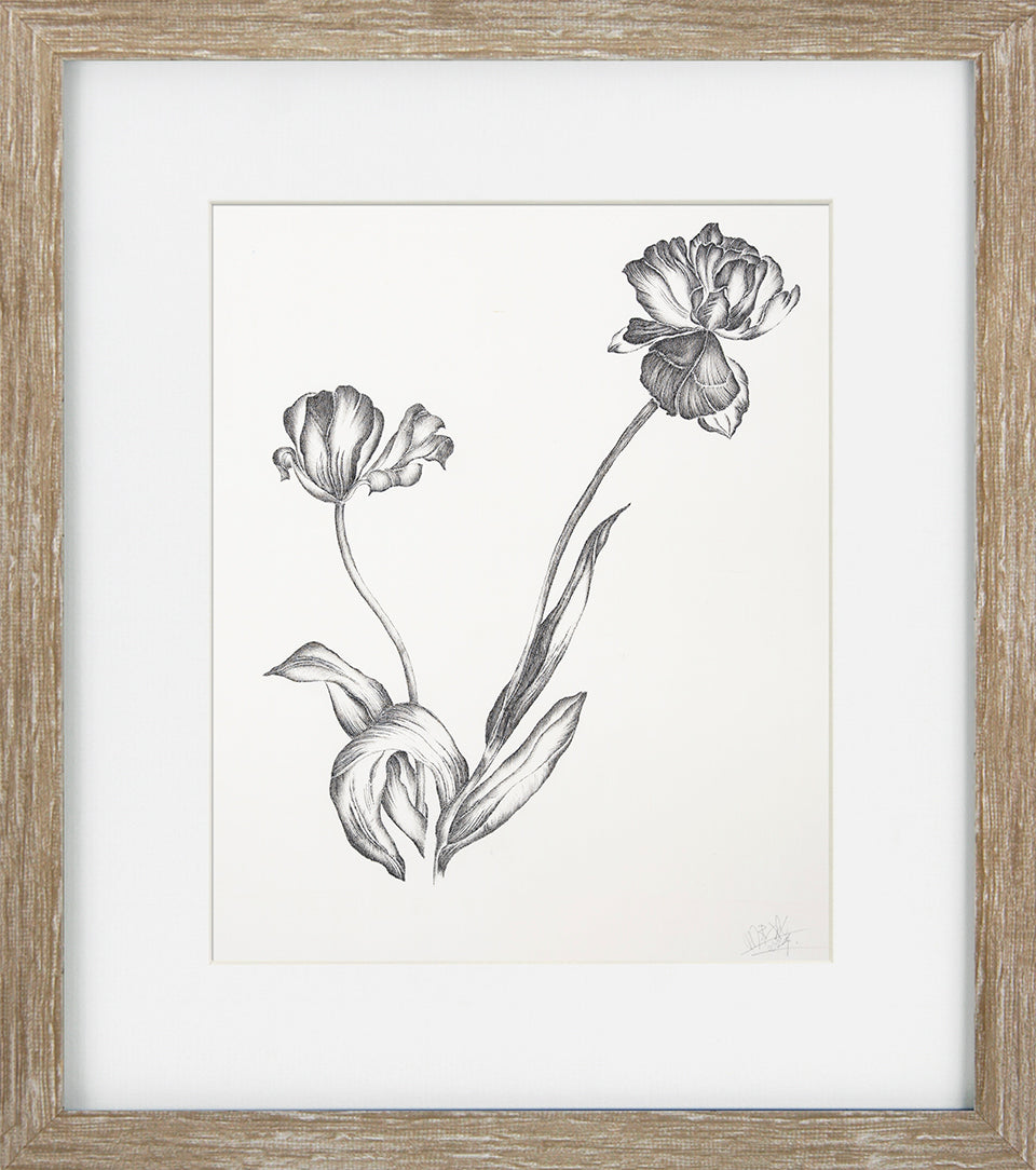 Delicate Floral Sketch III by Camelot Pictures framed floral wall art