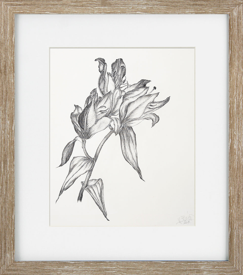 Delicate Floral Sketch IV by Camelot Pictures framed floral wall art