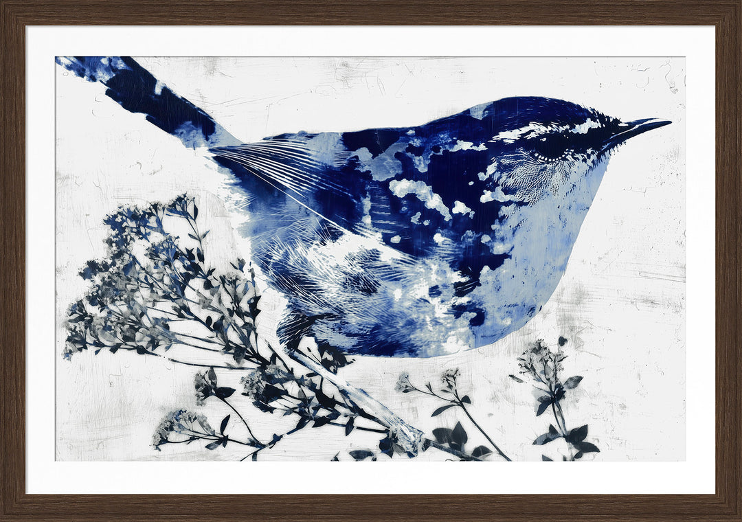 Wildflower Wren