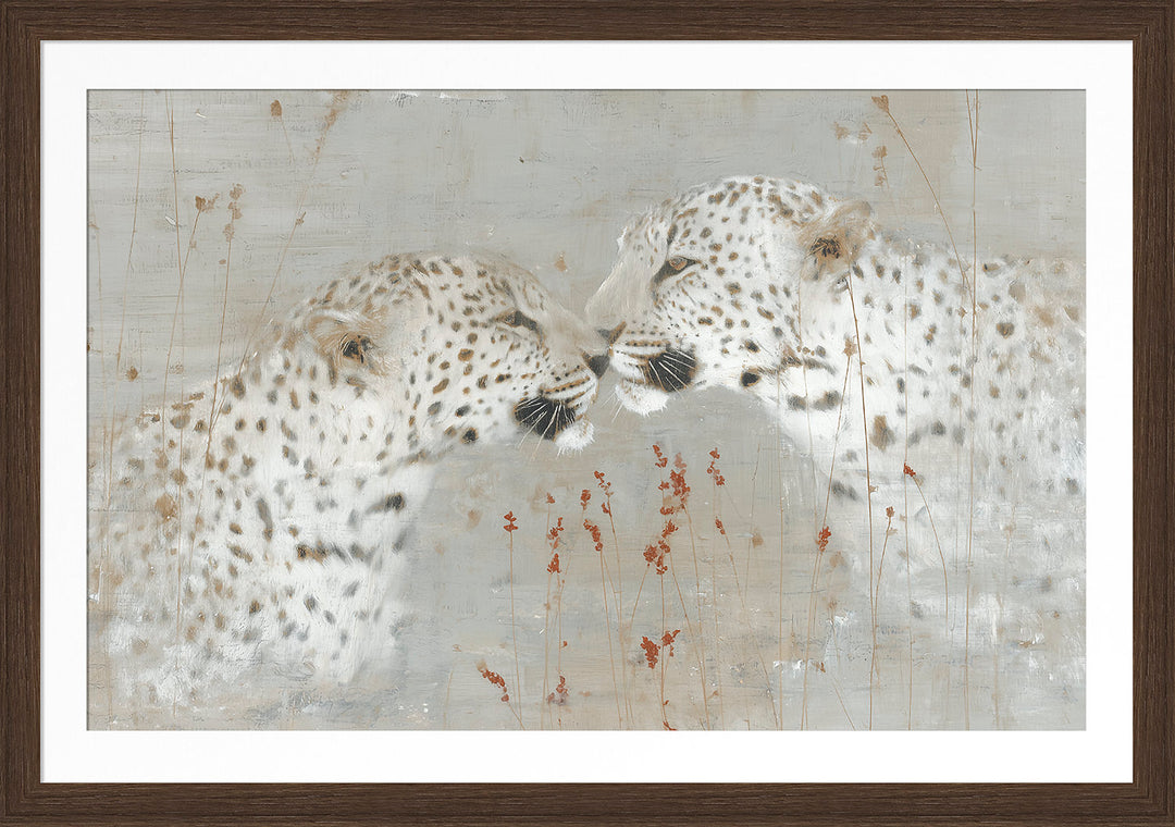 Nuzzling Leopards