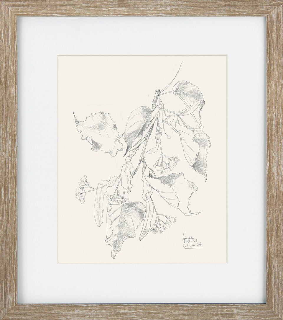 Cream Floral Sketch II