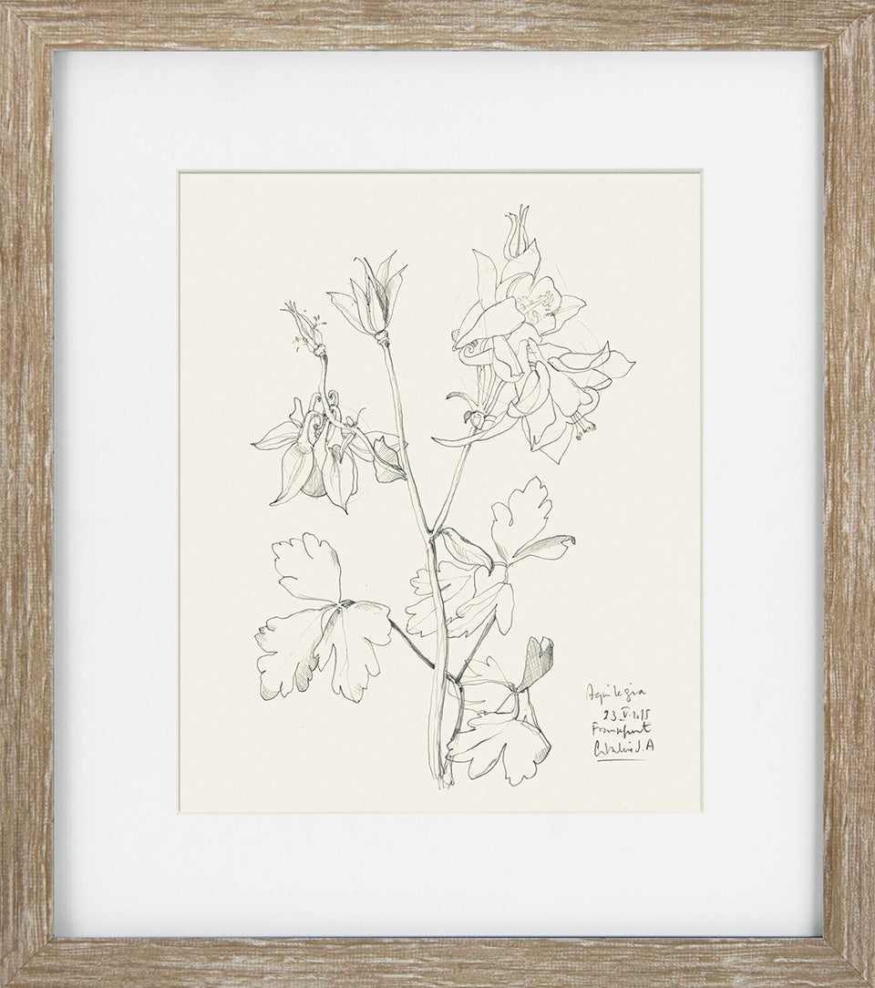 Cream Floral Sketch IV