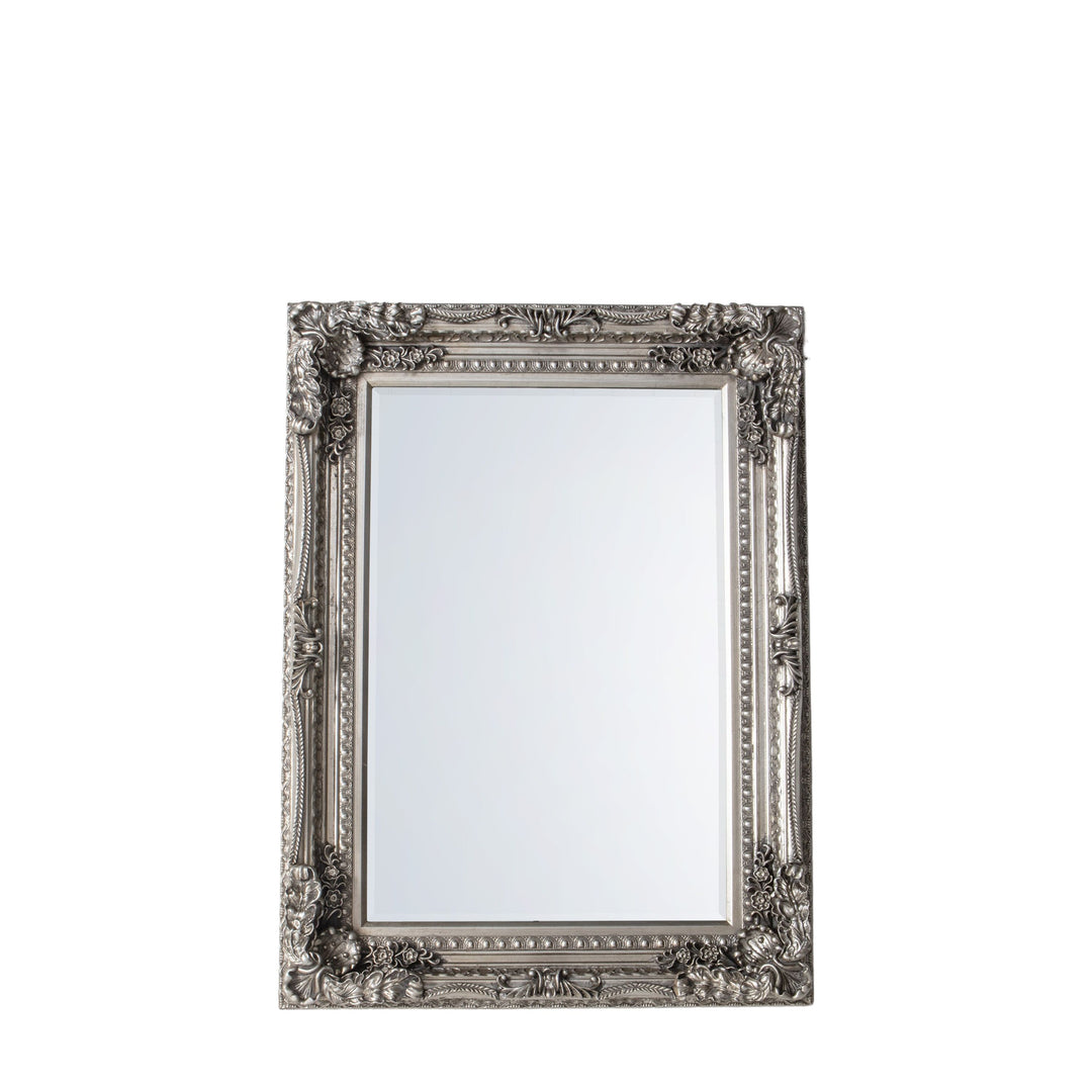 Carved Louis Mirror - TheArtistsQuarter