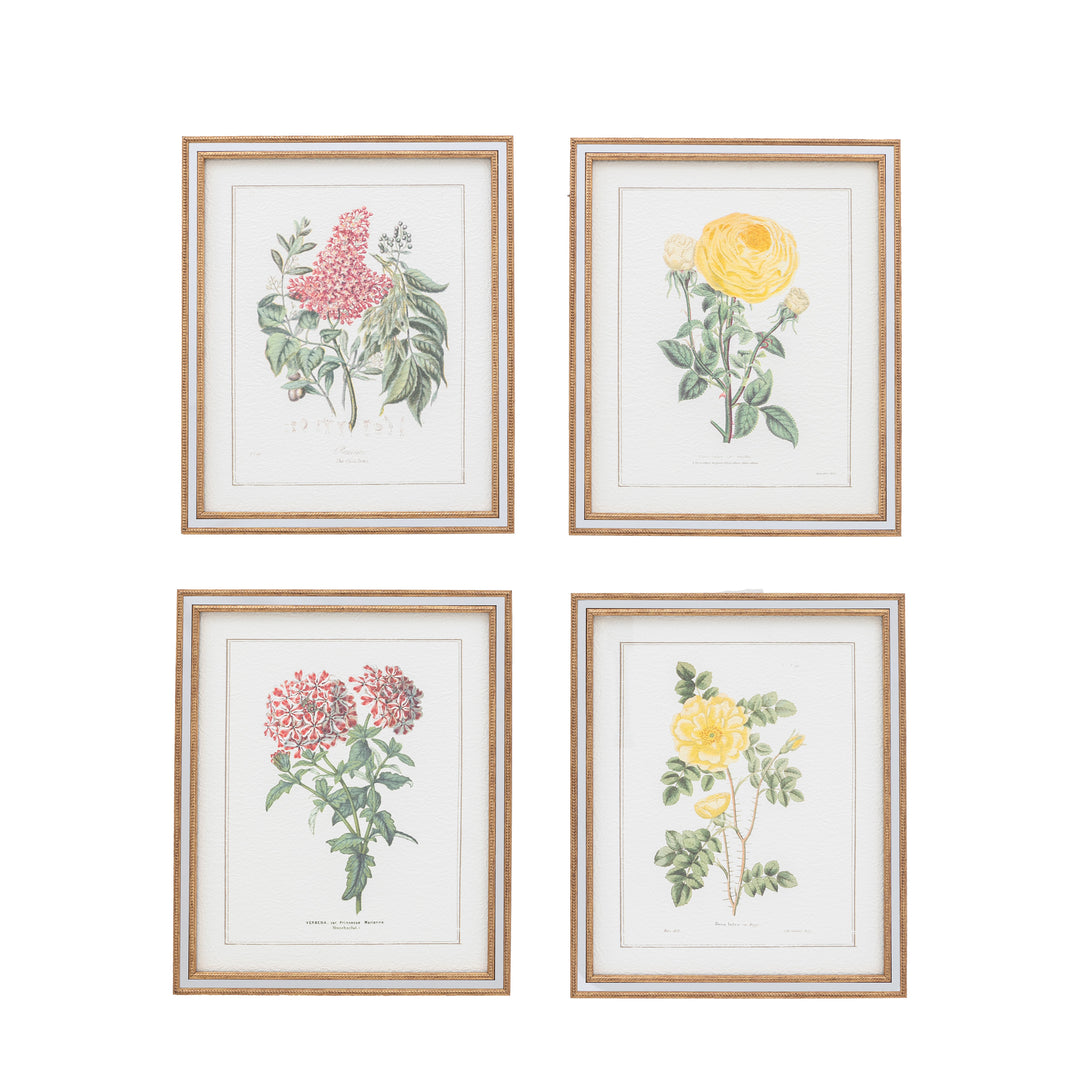 Floral Quartet Framed Art Set of 4 - TheArtistsQuarter