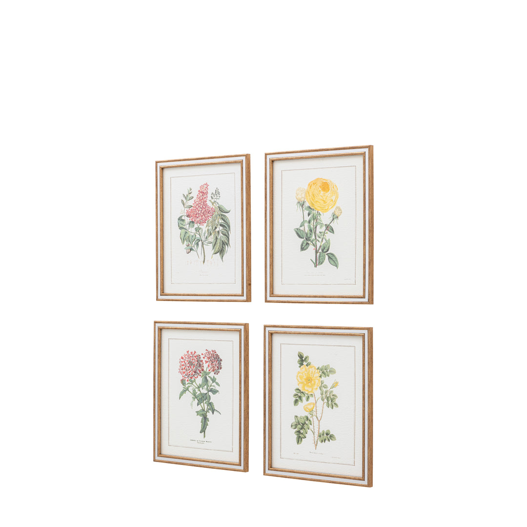 Floral Quartet Framed Art Set of 4 - TheArtistsQuarter