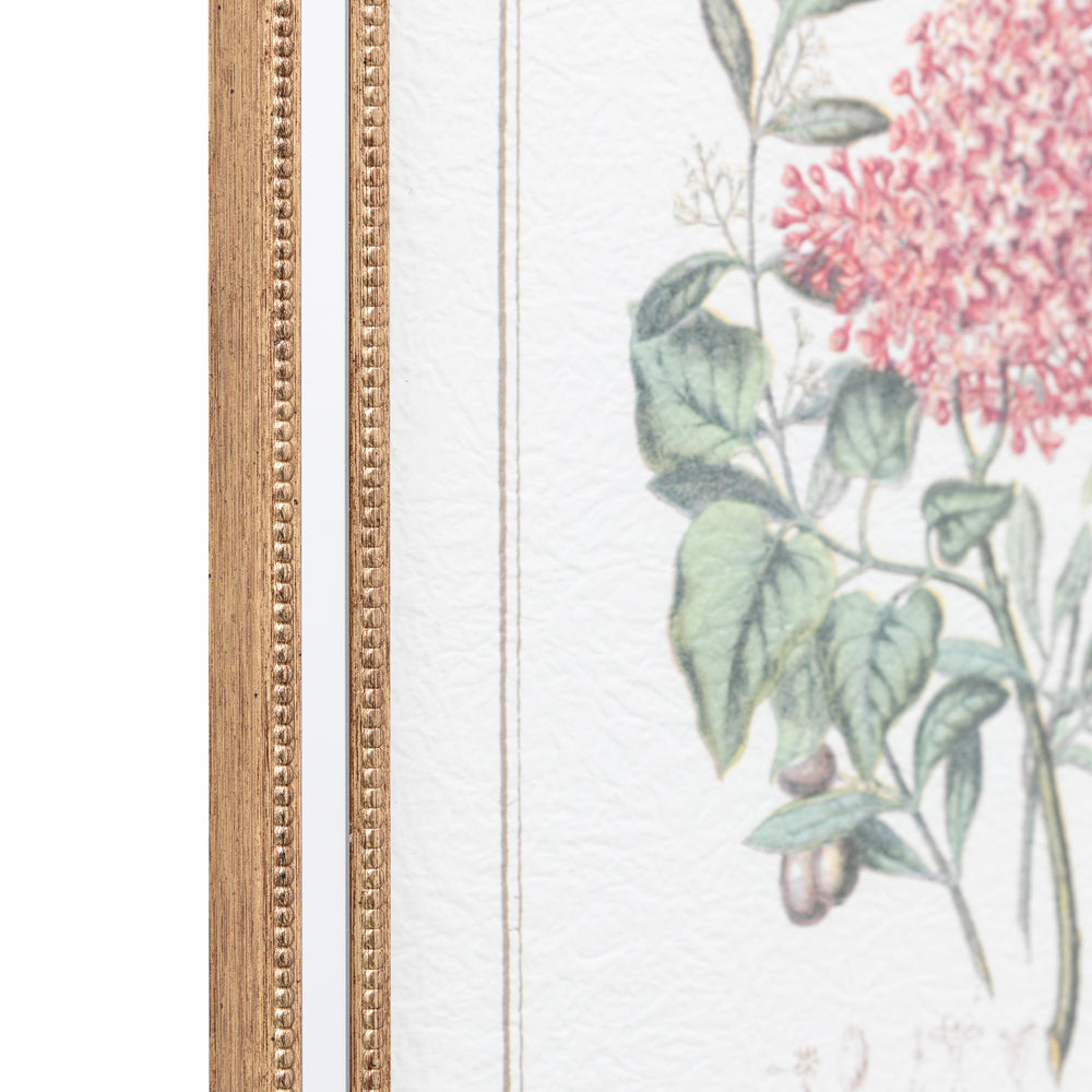 Floral Quartet Framed Art Set of 4 - TheArtistsQuarter