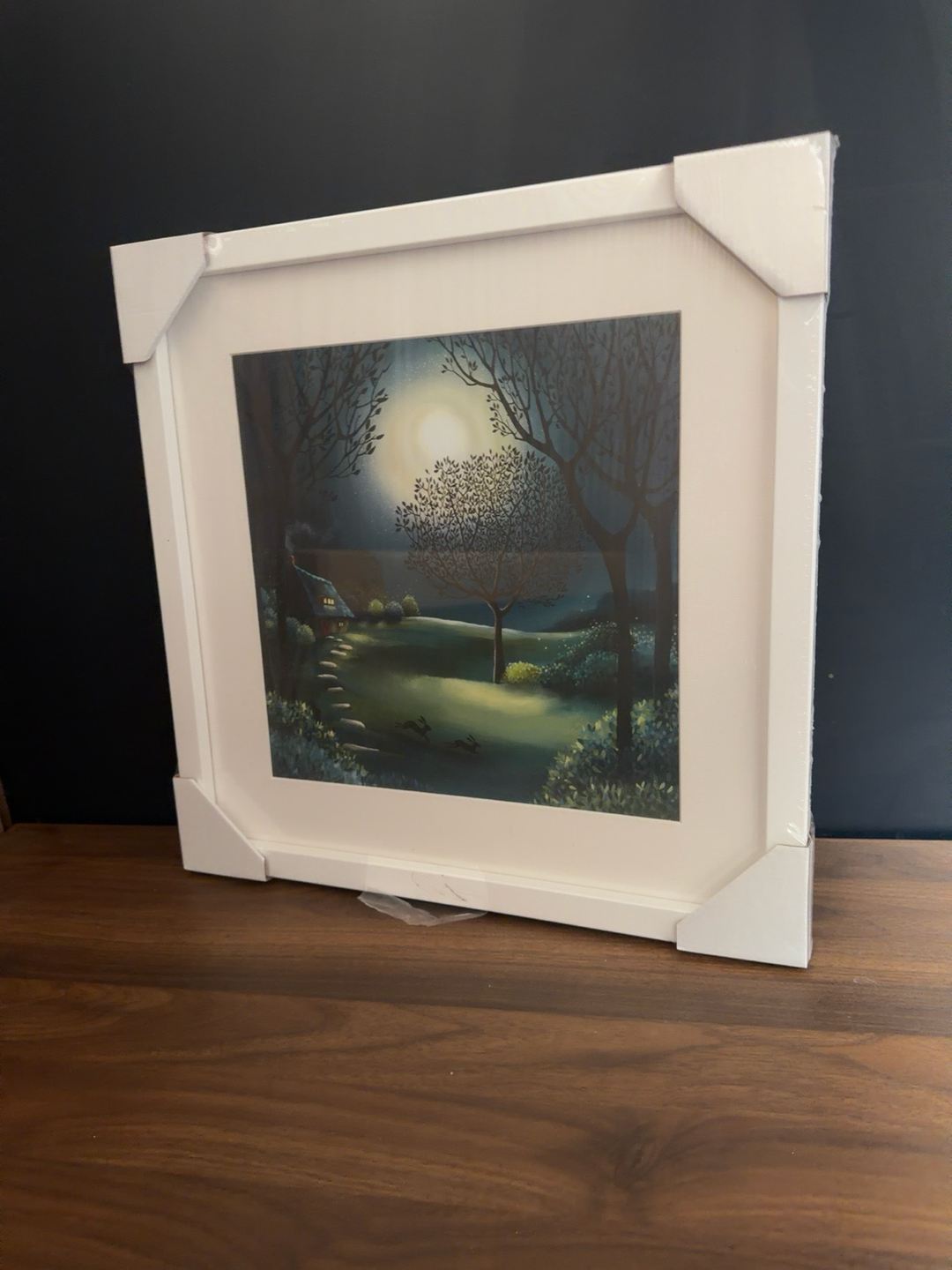 Moonlit Cottage by Catherine Stephenson