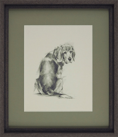 Puppy Dog Eyes I By Ethan Harper - TheArtistsQuarter