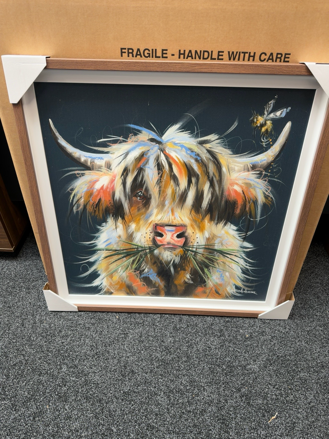 Highland Cow by Ashley Saunders
