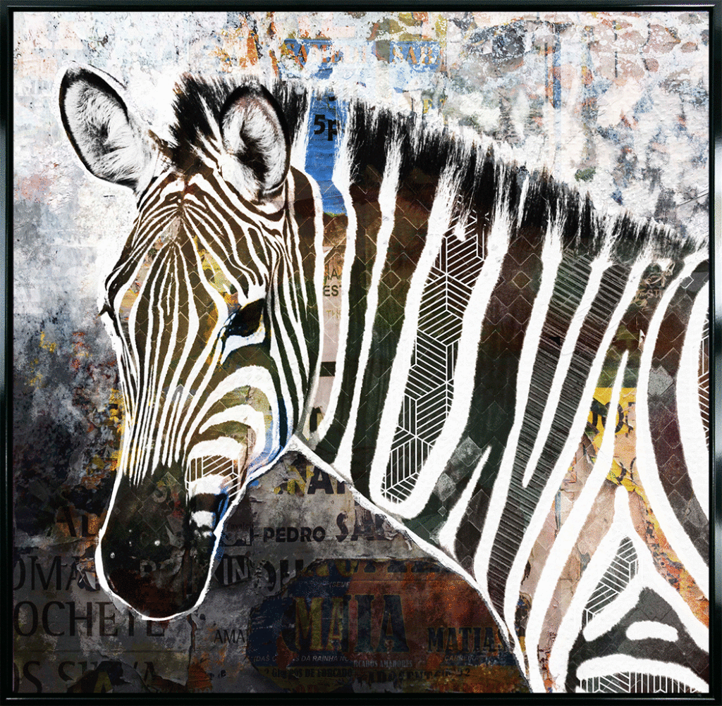 Pop Art Wildlife Zebra *NEW* - TheArtistsQuarter