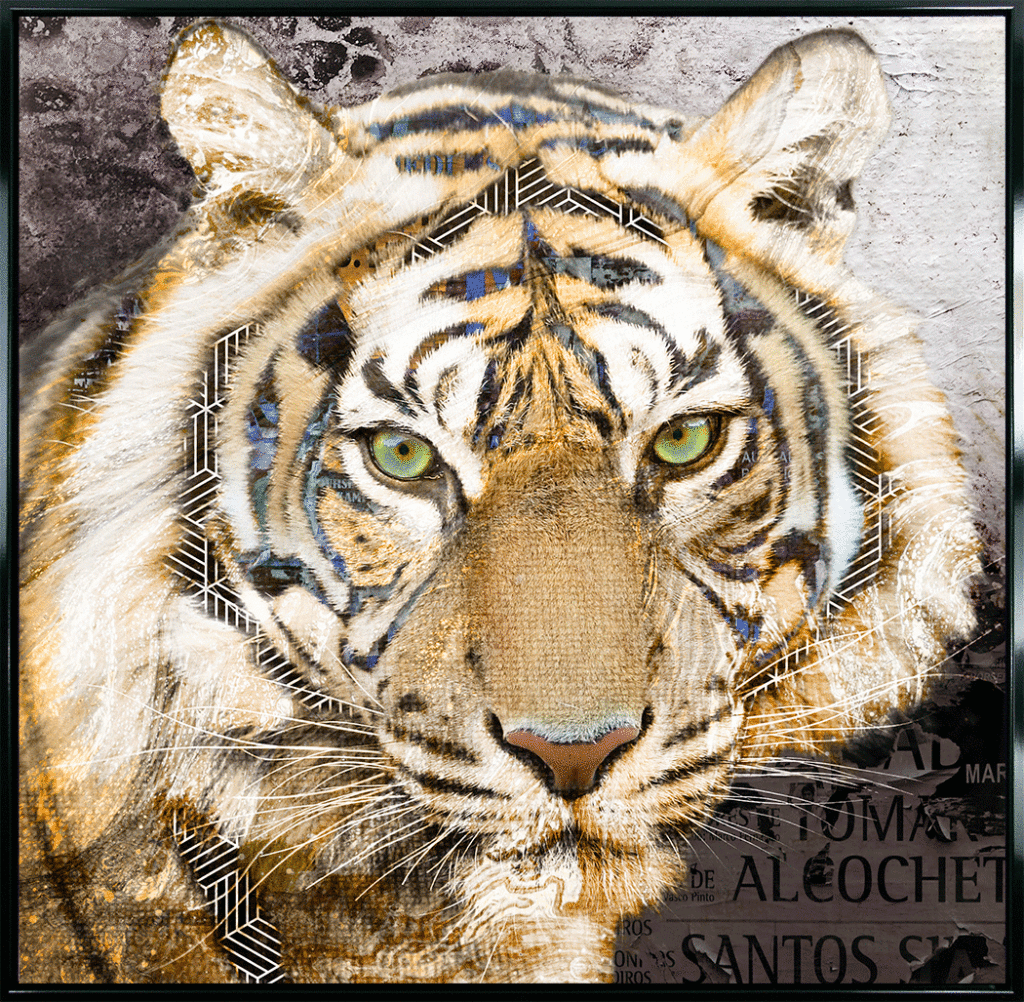 Pop Art Wildlife Tiger *NEW* - TheArtistsQuarter