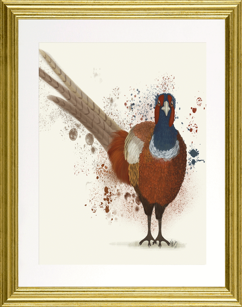 Pheasant Splash I By Fab Funky *NEW* - TheArtistsQuarter