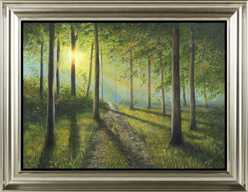 Woodland Walk By Ben Goymour *NEW* - TheArtistsQuarter