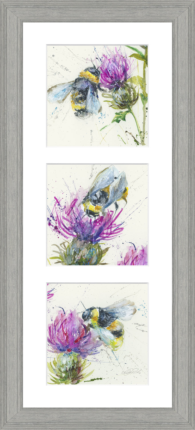 Thistle Symphony By Nicola Jane Rowles *NEW* - TheArtistsQuarter