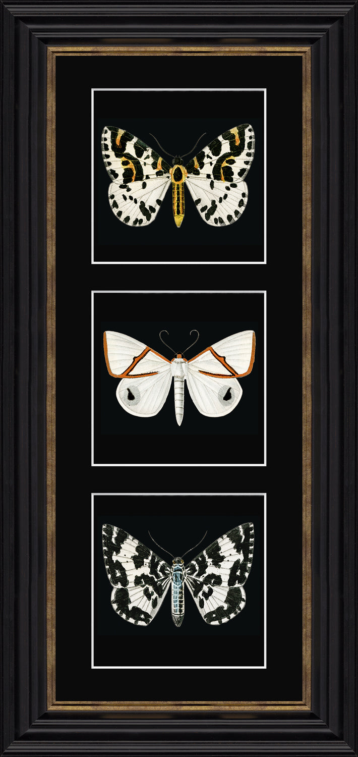 White Butterflies Triptych *NEW* - TheArtistsQuarter