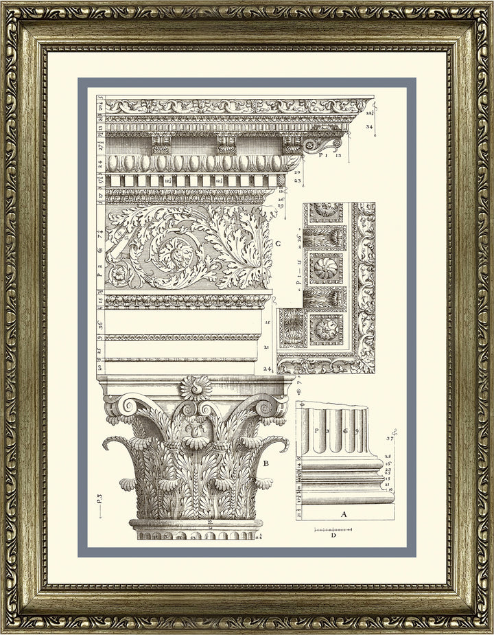 Corinthian Detail V *NEW* - TheArtistsQuarter