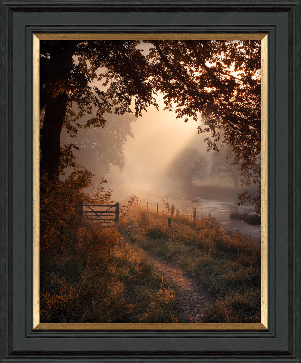Falling Light I By M.Torelli - TheArtistsQuarter