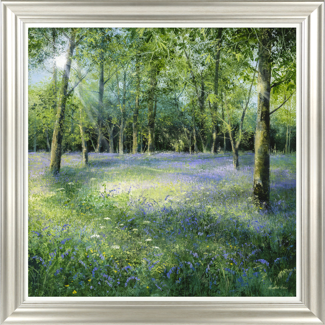 Bluebell Glade By Heather Howe - TheArtistsQuarter