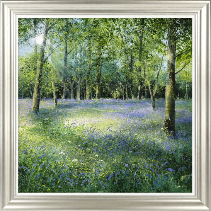 Bluebell Glade By Heather Howe - TheArtistsQuarter