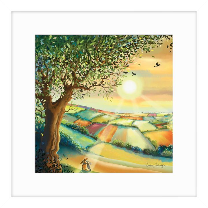 Sunshine By Catherine Stephenson