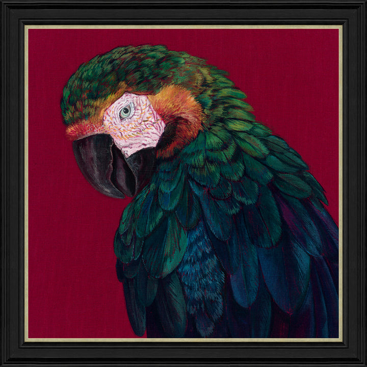 Cut Throat Sapphire By Jade Taylor