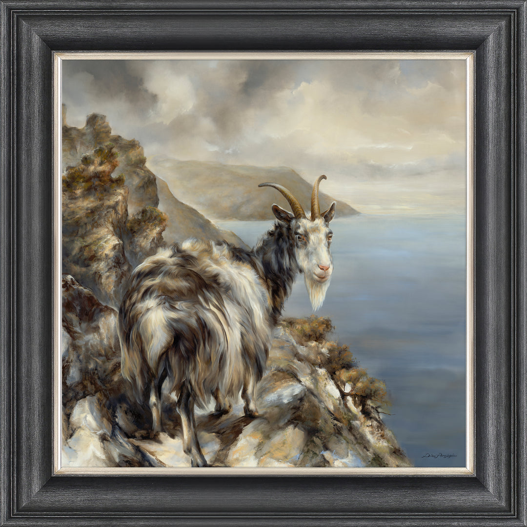 Billy of the Valley by Dina Perejogina