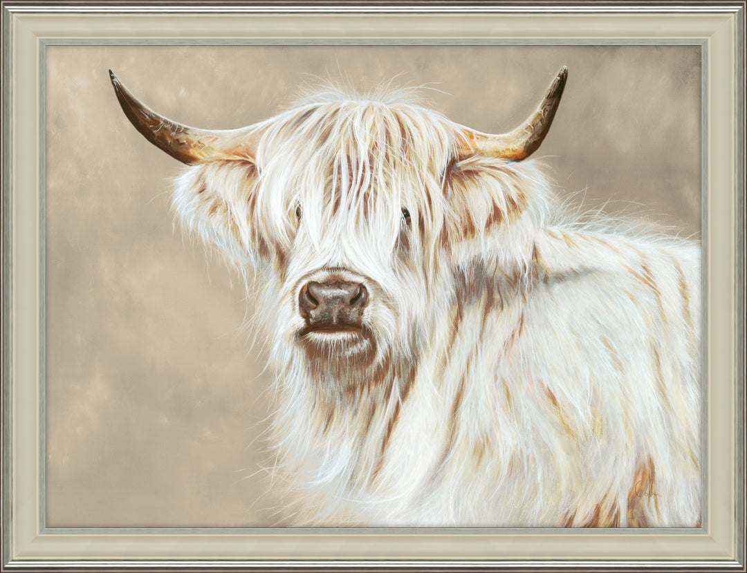 White Highlander by Nicky Colbran