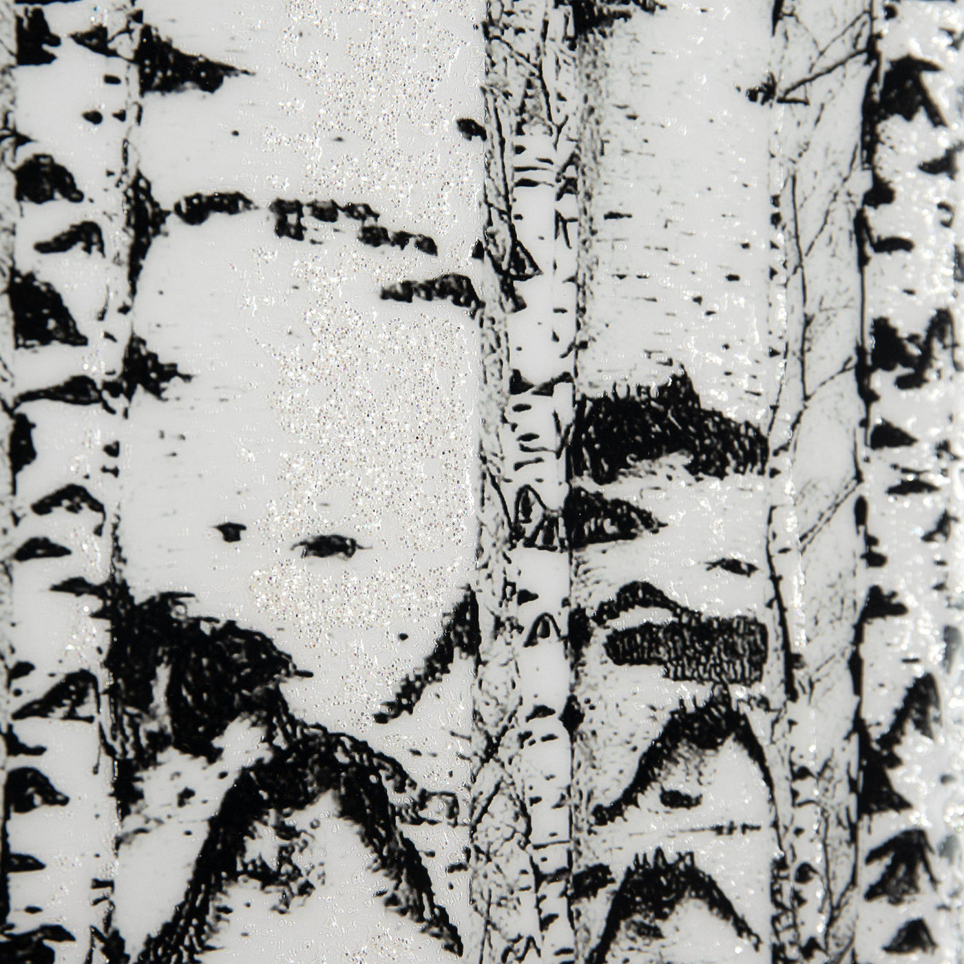 Birch Forest *NEW* - TheArtistsQuarter