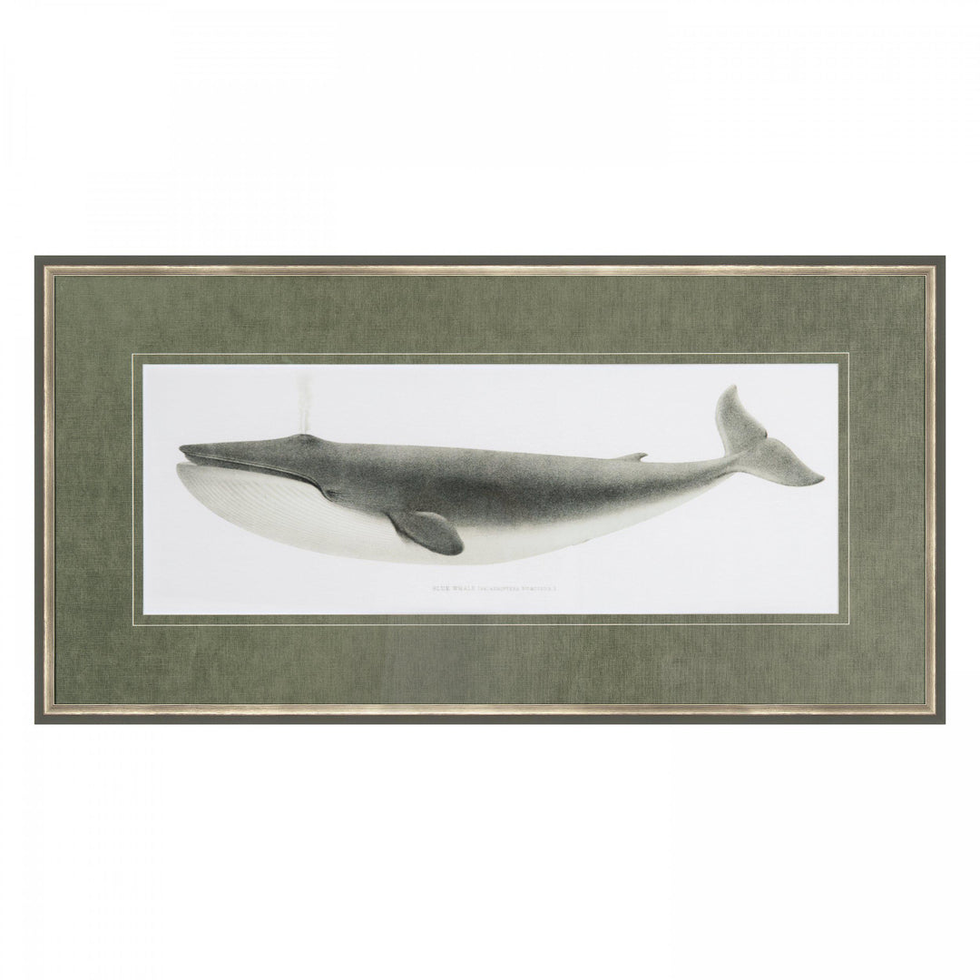 Blue Whale By Johan Teyler *NEW* - TheArtistsQuarter