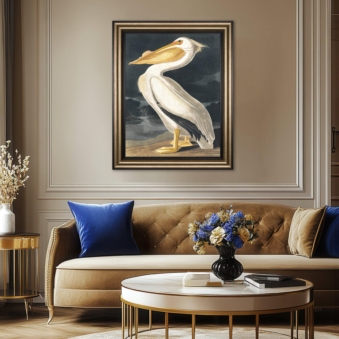 White Pelican By John James Audubon - TheArtistsQuarter