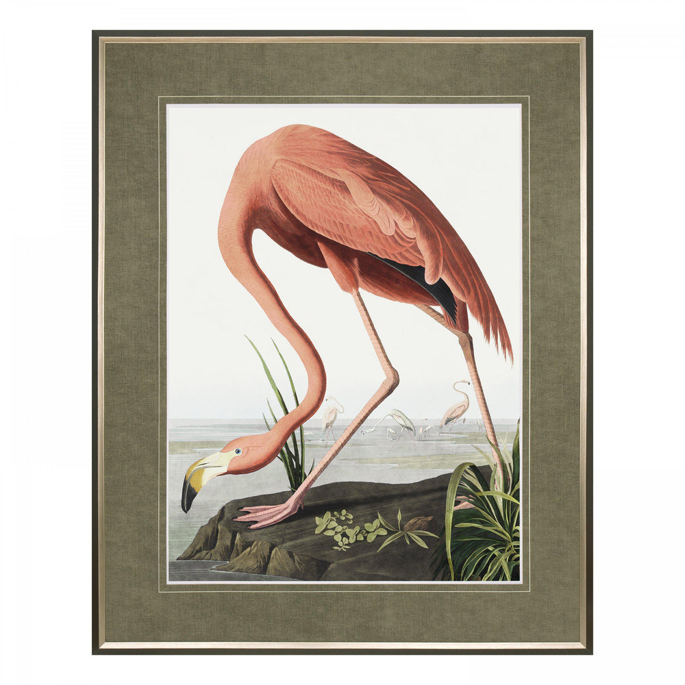 Vintage Flamingo By John James Audubon - TheArtistsQuarter