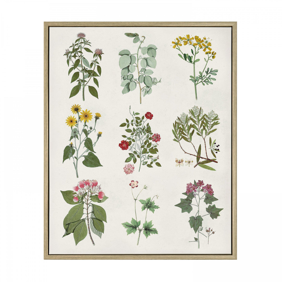 Botanical Mix By Art Vintages *NEW* - TheArtistsQuarter