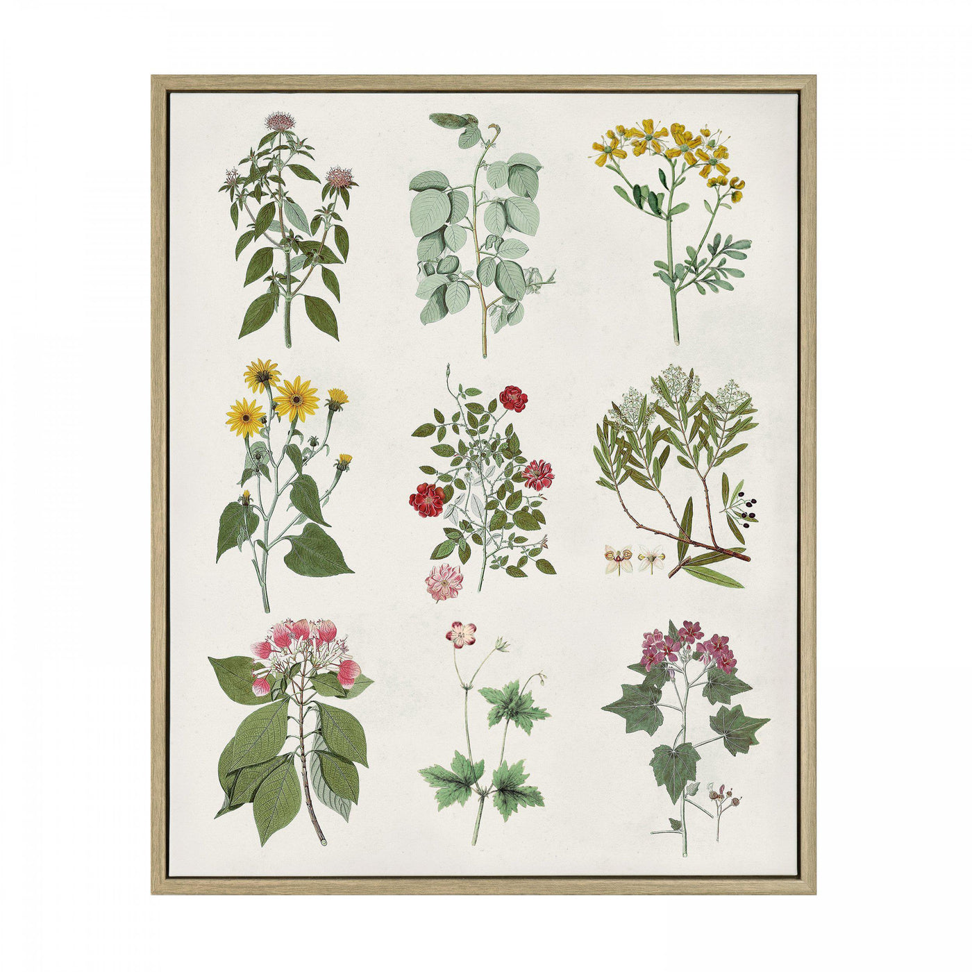 Botanical Mix By Art Vintages *NEW* - TheArtistsQuarter