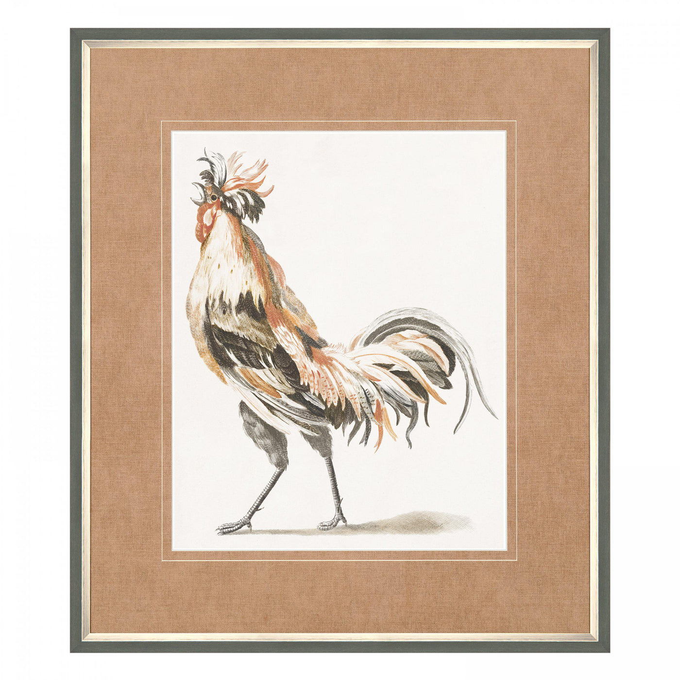 Proud Plumage By Johan Teyler *NEW STOCK DUE EARLY JULY* - TheArtistsQuarter